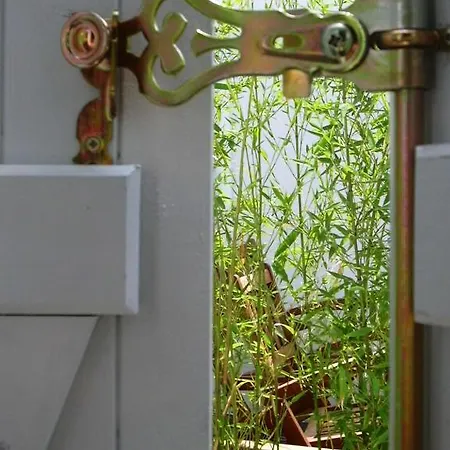 Les Jardins D'alienor Le Château-dʼOléron