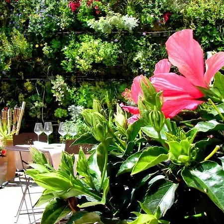 Les Jardins D'alienor Le Château-dʼOléron