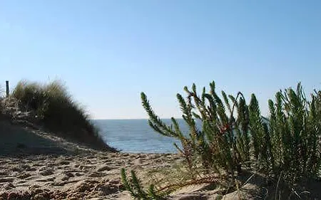 Les Jardins D'alienor 4* Le Château-dʼOléron